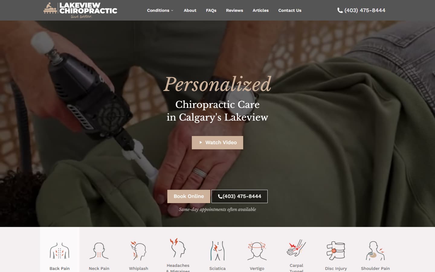 Lakeview Chiropractic - Next.js Website Rebuild & SEO