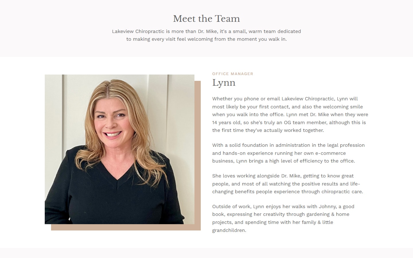 Lakeview Chiropractic - Next.js Website Rebuild & SEO gallery image 1 - Web Development & UI/UX Design & SEO project showcasing Next.js and TypeScript development for Lakeview Chiropractic