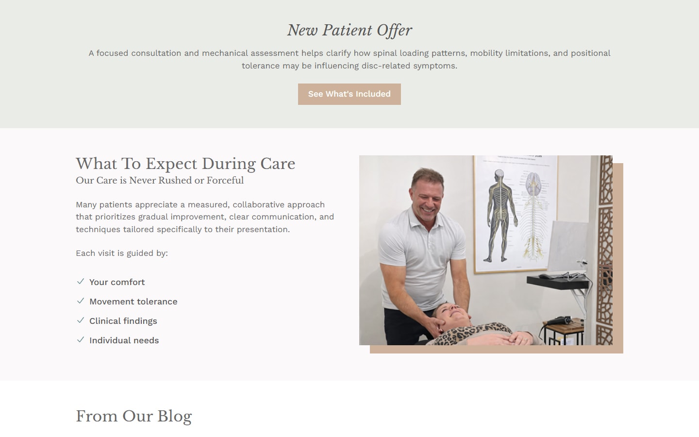 Lakeview Chiropractic - Next.js Website Rebuild & SEO gallery image 3 - Web Development & UI/UX Design & SEO project showcasing Next.js and TypeScript development for Lakeview Chiropractic