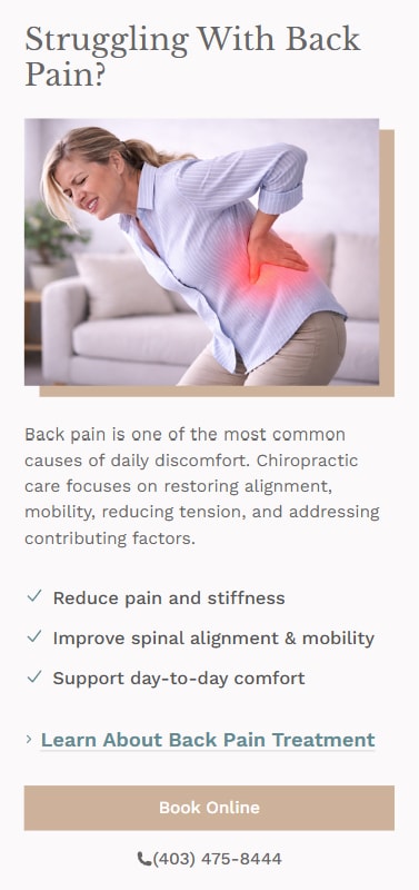 Lakeview Chiropractic - Next.js Website Rebuild & SEO gallery image 5 - Web Development & UI/UX Design & SEO project showcasing Next.js and TypeScript development for Lakeview Chiropractic