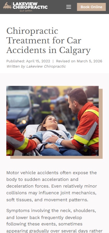 Lakeview Chiropractic - Next.js Website Rebuild & SEO gallery image 9 - Web Development & UI/UX Design & SEO project showcasing Next.js and TypeScript development for Lakeview Chiropractic